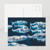 Stripte Bass School Postkarte (Vorne/Hinten)