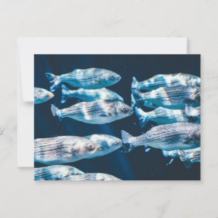 Stripte Bass School Postkarte