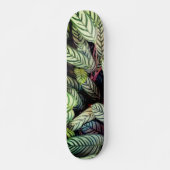 Stripte Blätter Skateboard (Vorne)
