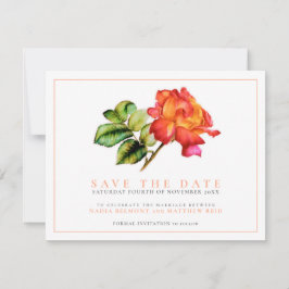 Stripter Hybrid-Tee Rose Aquarellorange Hochzeit Save The Date