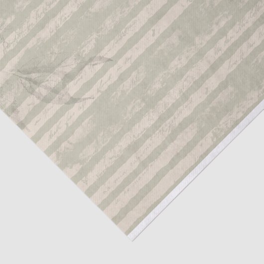 Striptes Grunge Green und Elfenbeingewebe Seidenpapier (Ausschnitt)