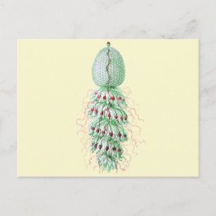 Strobalia Postkarte
