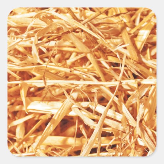 Stroh, abstrakte Gestaltung Quadratischer Aufkleber (Vorderseite)