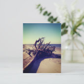 Strohbäume Postkarte (Stehend Vorderseite)