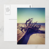 Strohbäume Postkarte (Vorne/Hinten)