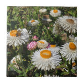 Strohblumen Fliese (Vorderseite)