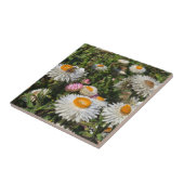 Strohblumen Fliese (Seite)