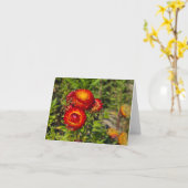 Strohblumen Karte (Gelbe Blume)