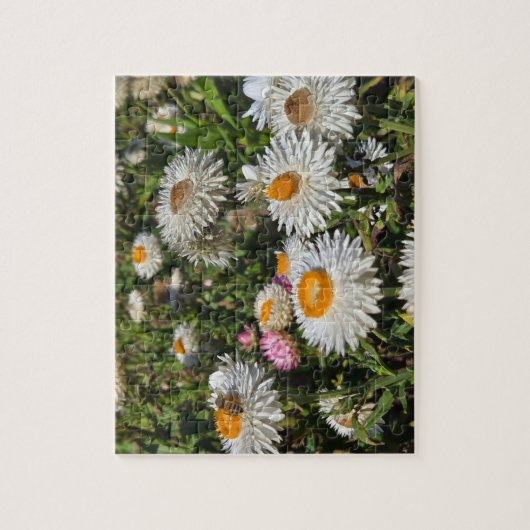 Strohblumen Puzzle (Vertikal)