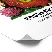 Strohblumen Samenpaket Etikett Poster (Ecke)