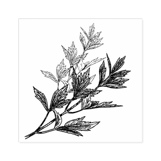 Strohdesign Gummistempel (Prägung)