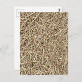 Strohhalm Postkarte (Vorne/Hinten)