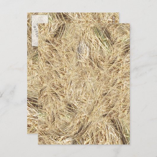 StrohHintergrund Postkarte (Vorne/Hinten)