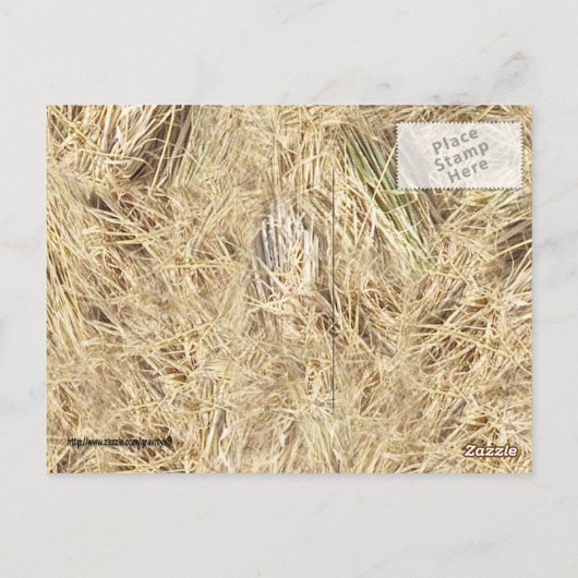StrohHintergrund Postkarte (Rückseite)