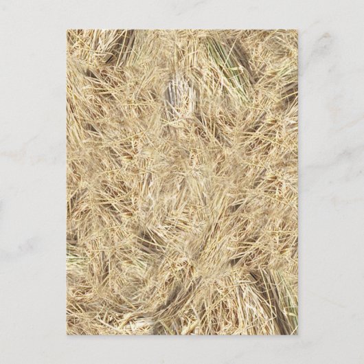 StrohHintergrund Postkarte (Vorderseite)