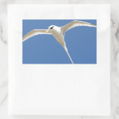 Strohvogel in Mauritius Rechteckiger Aufkleber (Tasche)