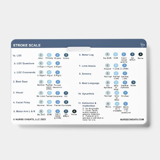 STROKE SCALE ABZEICHEN AUSWEIS (Vorderseite)