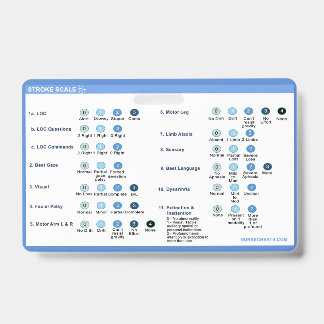 Stroke Scale Abzeichen Companion Ausweis