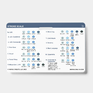STROKE SCALE AUSWEIS