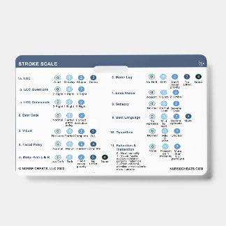 STROKE SCALE AUSWEIS