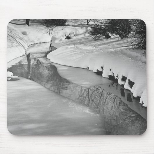 Strom im Winter B&W Mousepad (Vorne)