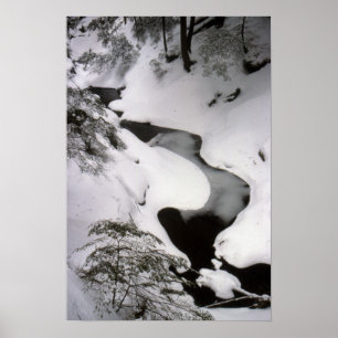 Strom im Winter Poster