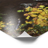 Strom in den Smokies Fotodruck (Ecke)