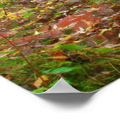 Strom in Duluth Woods Poster (Ecke)