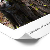 Strömungsprints Poster (Ecke)