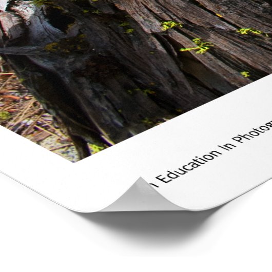 Strömungsprints Poster (Ecke)