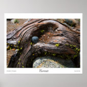 Strömungsprints Poster (Vorne)