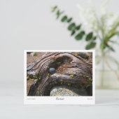 Strömungsprints Postkarte (Stehend Vorderseite)