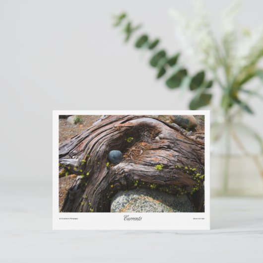 Strömungsprints Postkarte (Stehend Vorderseite)