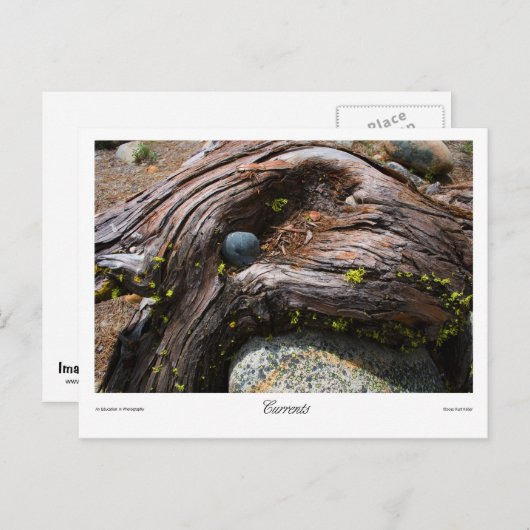 Strömungsprints Postkarte (Vorne/Hinten)