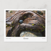 Strömungsprints Postkarte (Vorderseite)