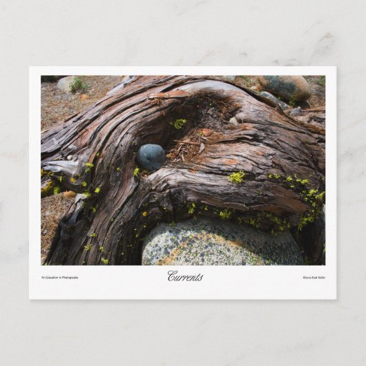 Strömungsprints Postkarte (Vorderseite)