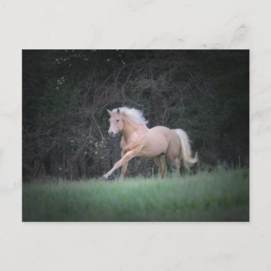 Strong Desire Postkarte (Vorderseite)