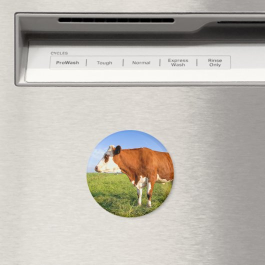 Strong Friesian Kuh Magnet (In Situ (Geschirrspüler))