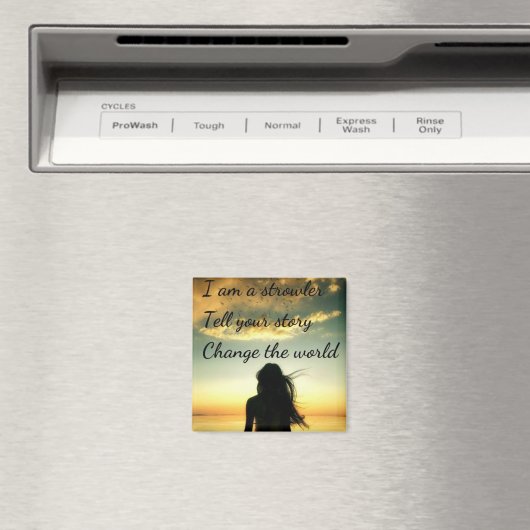 Strowlers bearbeiten 1 magnet (In Situ (Geschirrspüler))