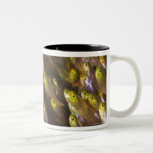 Strudel der goldenen Kehrmaschinen Zweifarbige Tasse