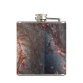 Strudel-Galaxie Flachmann (Rückseite)