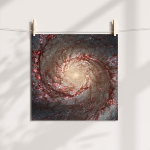 Strudelgalaxie Poster