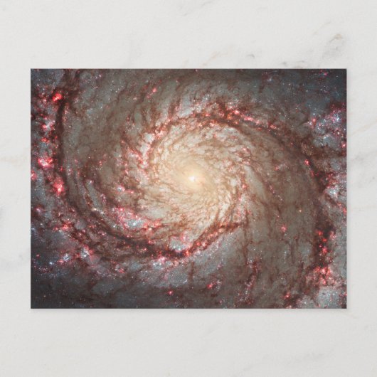 Strudelgalaxie Postkarte (Vorderseite)