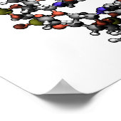 Struktur der DNA-Deoxyribonukleinsäure-Diagramm Poster (Ecke)