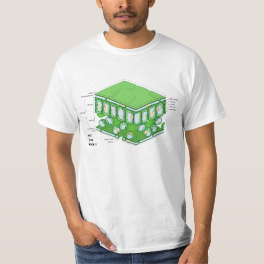 Struktur der linken Gewebe T-Shirt (Vorderseite)