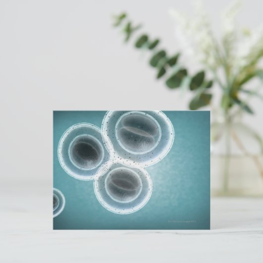 Struktur der MRSA Postkarte (Stehend Vorderseite)