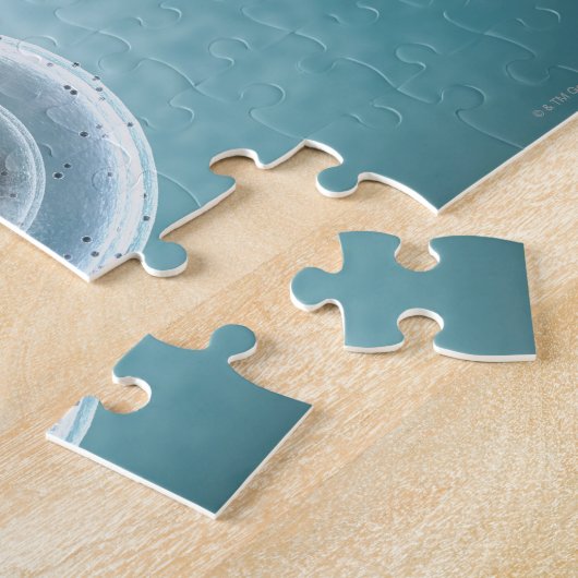 Struktur der MRSA Puzzle (Seite)