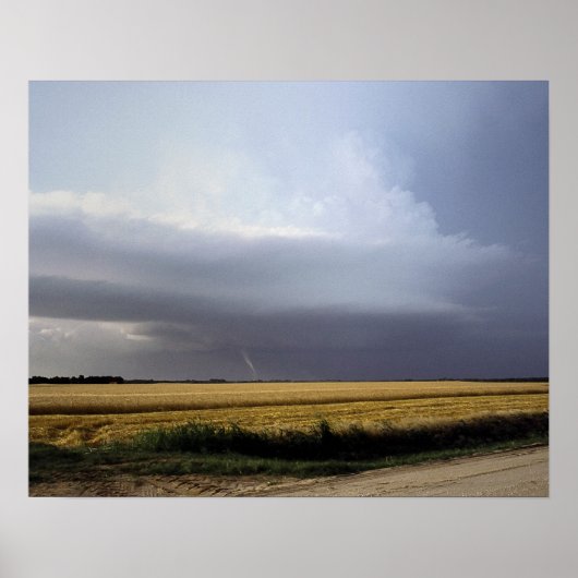 Struktur der Superzelle Poster (Vorne)