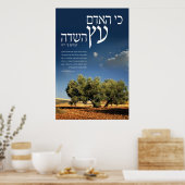 Struktur des Felds Poster (Küche)