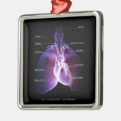 Struktur des Herzens und der Lungen Ornament Aus Metall (Links)